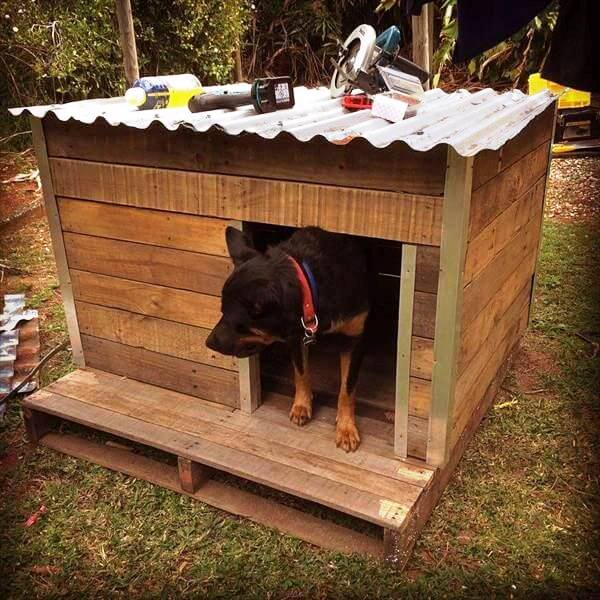 dog house ideas 